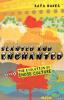 Slanted and Enchanted: The Evolution of Indie Culture