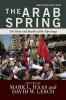 Arab Spring