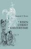 A Risen Christ in Eastertime: Essays on the Gospel Narratives of the Resurrection