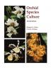 Orchid Species Culture: Dendrobium