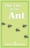 The Life of the Ant