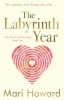 The Labyrinth Year: Art science and losing your way: Two (The Mullins Family Saga)