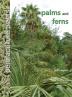 Permaculture Plants: Palms and Ferns: 3