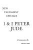 1 & 2 Peter and Jude: A Critical & Exegetical Commentary