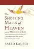 The Shopping Malls of Heaven: and the Meaning of Life