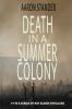 Death in a Summer Colony: 7 (Ray Elkins Thrillers)