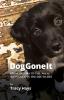 Dog Gone It: From Trauma to Tail-Wags Seeing God in the Day-to-Day