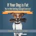 If Your Dog Is Fat You're Not Getting Enough Exercise!: How to Lose 15 Pounds in 30 Minutes