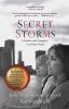 Secret Storms: A Mother and Daughter Lost then Found