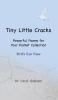 Tiny Little Cracks: Bird's Eye View