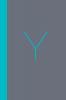 Y The Workbook: A Practical Companion to Y - Christian Millennial Manifesto