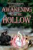 Awakening in the Hollow: 2 (Godsfade)