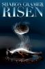 Risen (Wintergrave Chronicles)