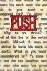 Push: (The Underlying Reason You Have No Shot At Being Ordinary): 1 (Motivation)