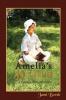 Amelia's Dream: A Colonial Girl's Adventures