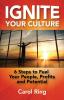 Ignite Your Culture: 6 Steps to Fuel Your People Profits and Potential