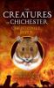 The Creatures of Chichester: The One About the Mystery Blaze: 2