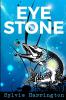 Eye Stone: 1 (Eye Stone Trilogy)