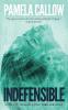 Indefensible: 2 (Kate Lange Thriller)