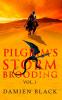 Pilgrim's Storm Brooding Volume 1: A Sweeping Dark Fantasy Epic (Broken Stone Chronicle)