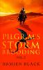 Pilgrim's Storm Brooding Volume 2: A Dark Fantasy Epic: 3 (Broken Stone Chronicle)