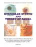 Kyungrak System and Theory of Sanal: Full Colour Edition