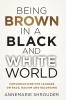 Being Brown in a Black and White World. Conversations for Leaders about Race Racism and Belonging