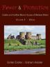 Power and Protection: Castles and Fortified Manor Houses of Medieval Britain - Volume 4 - Wales