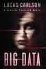 Big Data: A Startup Thriller Novel: 2