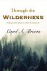 Through The Wilderness: Finding God's presence when all seems lost.