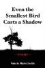 Even the Smallest Bird Casts a Shadow: Poems