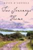 Two Journeys Home: A Novel of Eighteenth Century Europe: 2 (Derrynane Saga)