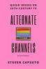 Alternate Channels: Queer Images on 20th-Century TV (revised edition)