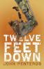 Twelve Feet Down: 1 (The Twelve Feet)