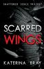 Scarred Wings: Shattered Souls Trilogy Book 2