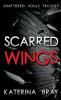 Scarred Wings: Shattered Souls Trilogy Book 2