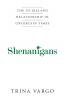 Shenanigans; the Irish -Ireland Relationship in Uncertain Times: The US-Ireland Relationship in Uncertain Times