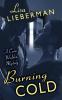 Burning Cold: 2 (Cara Walden Mystery)