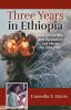 Three Years in Ethiopia: How a Civil War and Epidemics Led Me to my Daughter