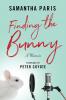 Finding the Bunny: The secrets of America's most influential and invisible art revealed through the struggles of one woman's journey