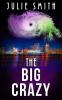 The Big Crazy: A Skip Langdon Mystery: 11 (The Skip Langdon)