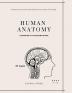 Human Anatomy Coloring Book: Human Anatomy Activity Book: An Easy And Simple Way To Learn About Human Anatomy Anatomy Coloring Book 32 pages in 8.5 x 11 format