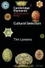 Cultural Selection