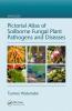 Pictorial Atlas of Soilborne Fungal Plant Pathogens and Diseases