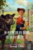 乡村男孩在乡村集市上的冒险: The Adventures of a Country Boy at a Country Fair Chinese edition