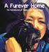 A Furever Home: The Adventures of Scotty the Rescue Dog: 1 (Scottys Adventures)