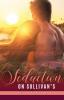 Seduction on Sullivan's: 2 (Lowcountry Liaisons)