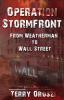 Operation Stormfront: From Weatherman to Wall Street: 1 (Fbi: Evelyn Black)