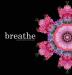 breathe: a simple meditation