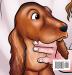 A Very Special Girl: The True Story of a Beautiful Irish Setter Dog Who Twice Lost Her Home